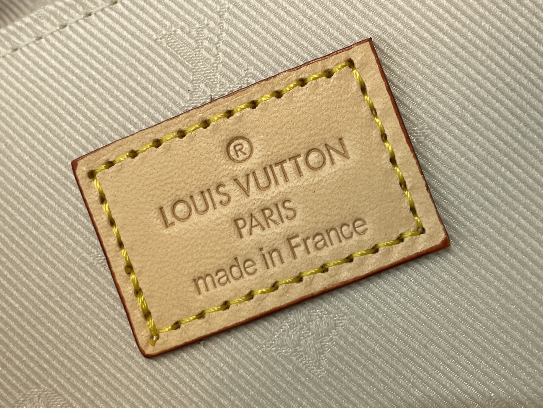 Louis Vuitton Satchel Bags